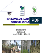 Plantaciones forestales en Bolivia