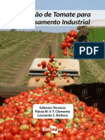 Producao de Tomate para Processamento Industrial