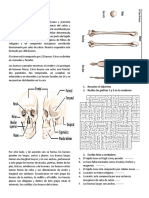 GUIA DE BIOLOGIA Nº 6-convertido