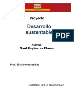 Proyecto - Desarollo Sustentable