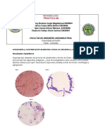 Microbiología Practica 6