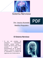 Sistema Nervioso Dra Jessica Acevedo (1)-2