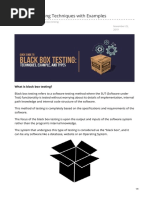 Black Box Testing Techniques With Examples