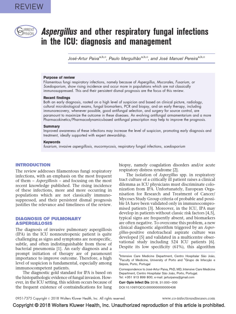 Aspergillus: and Other Respiratory Fungal Infections in The ICU ...