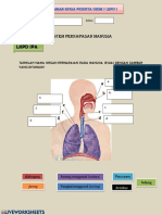 LKPD Sistem Respirasi 2