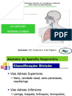 Sistema Respiratório