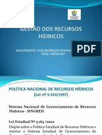 Luiz Henriqe de Carvalho - Gestao de Recursos Hidricos