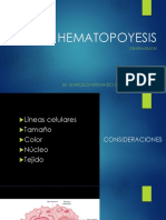 HEMATOPOYESIS