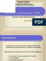 Introduction À La Pathologie de l'ATM