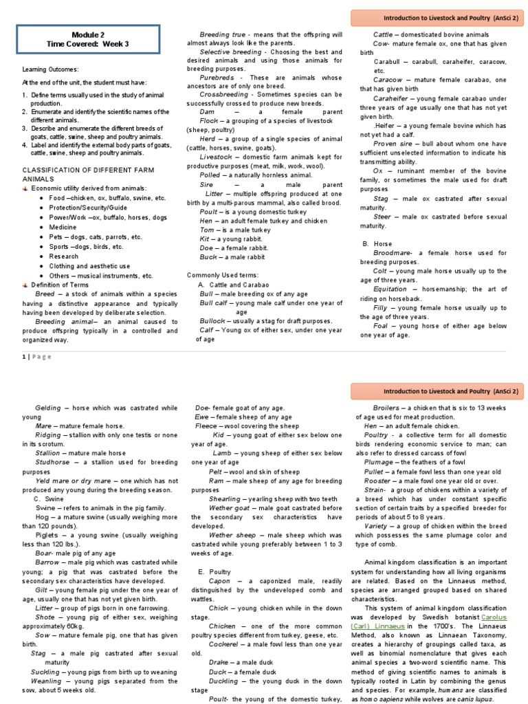Livestock visual data 5