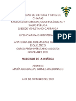 Musculos de La Muñeca PDF