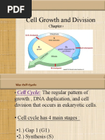 Cell Cycle - Meiosis Notes