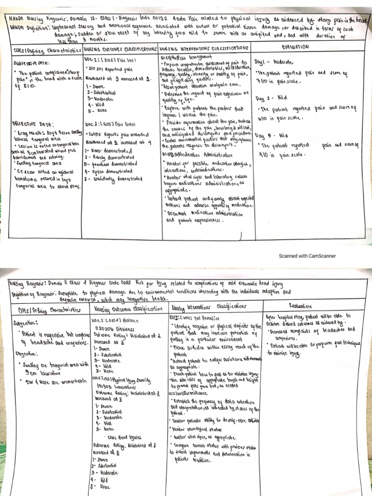 TBI | PDF