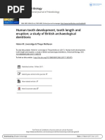 London Atlas of Tooth Development | PDF | Human Tooth | Tooth