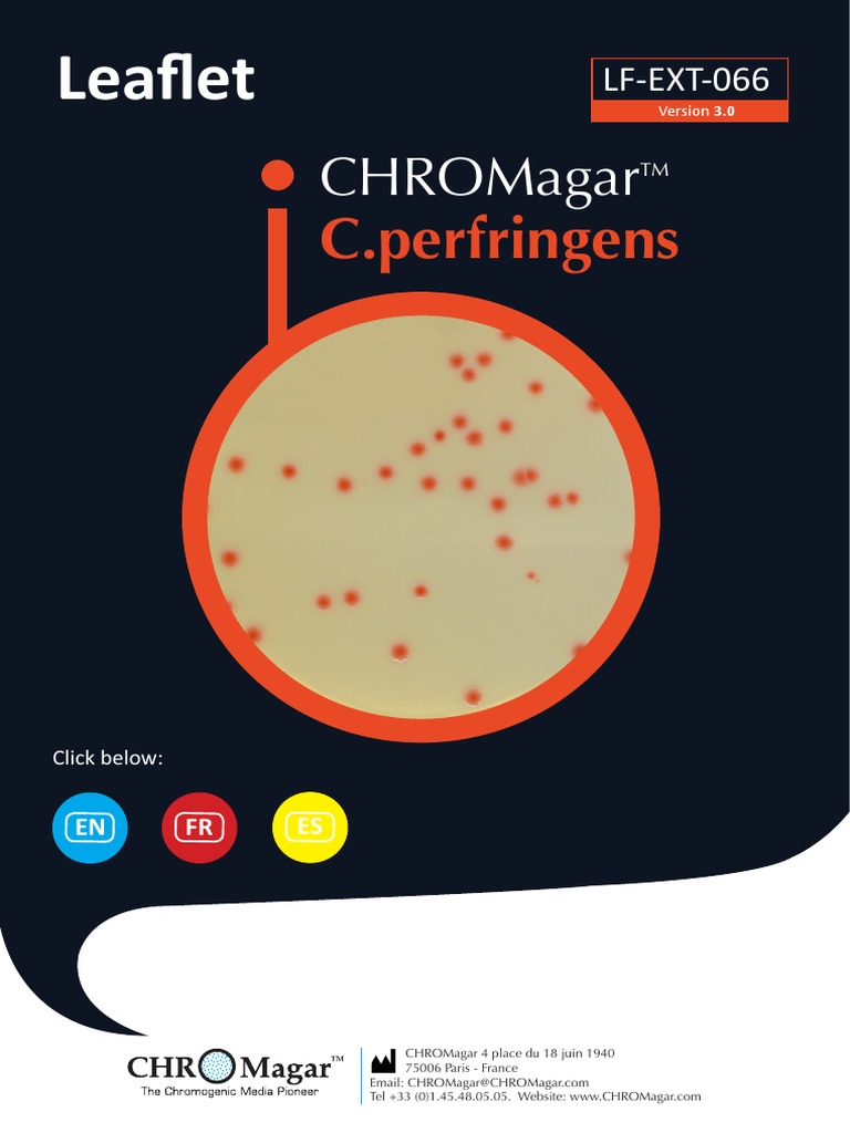 1563871023LF EXT 066 PF V3.0 Siteweb PDF Gram Positive Bacteria