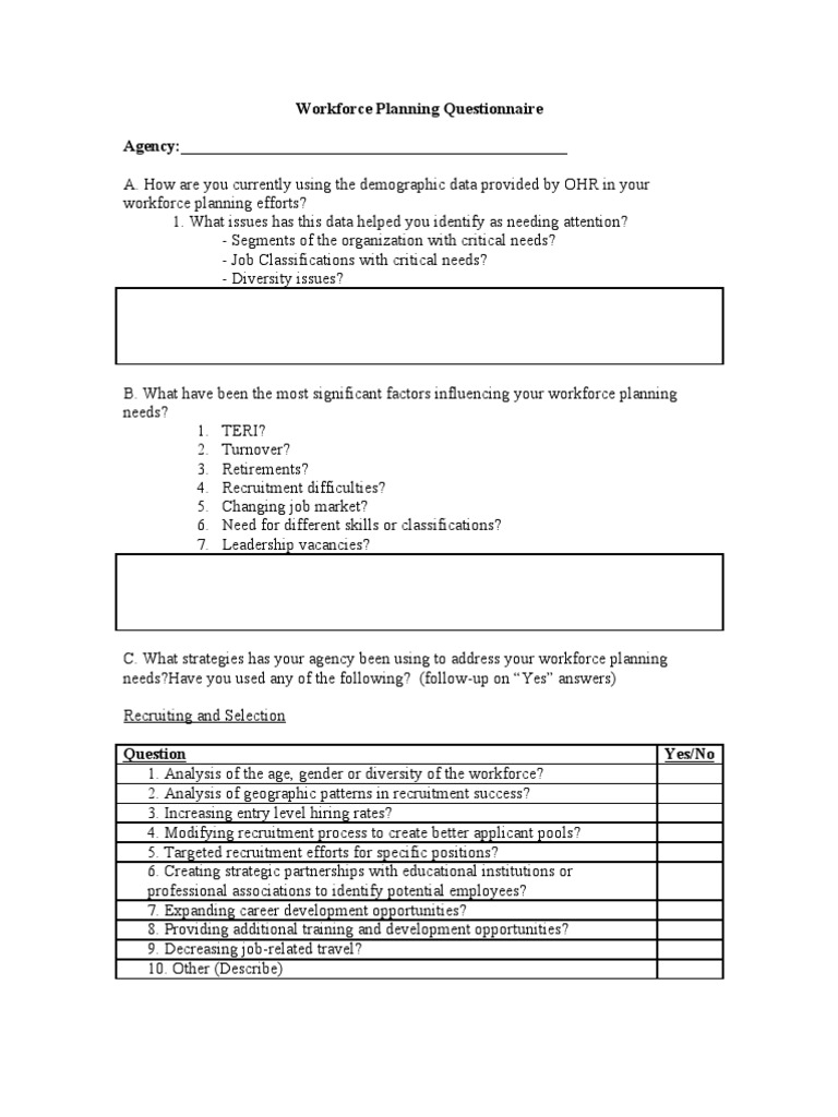 Workforce Planning Questionnaire Guide | PDF | Business