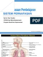 SISTEM PERNAFASAN DALAM