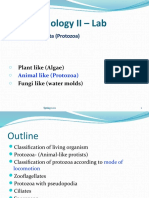 Biology II Lab 4 - Protista (Protozoa) Classification and Locomotion