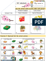 Topic: Tet Holiday: Chung Cake Firework Displays Lucky Money Kumquat Tree Peach Blossoms Apricot Blossoms