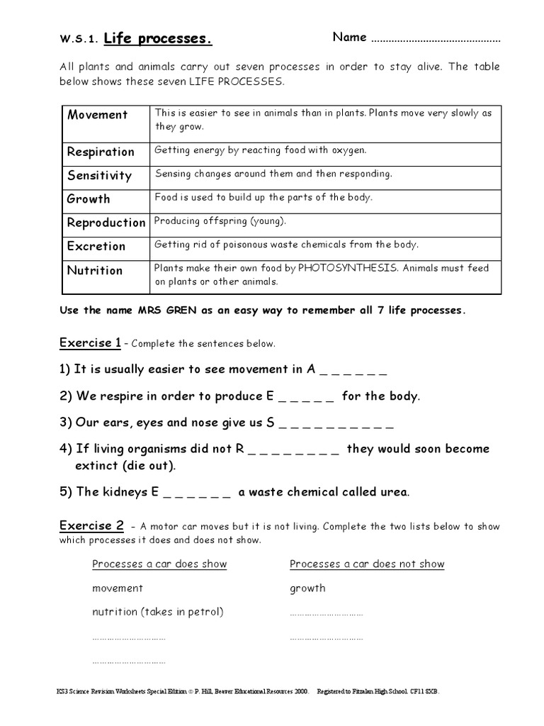 What Can I Control? (Free Worksheet!) — Miriam Mogilevsky, LISW, image size:768x1024