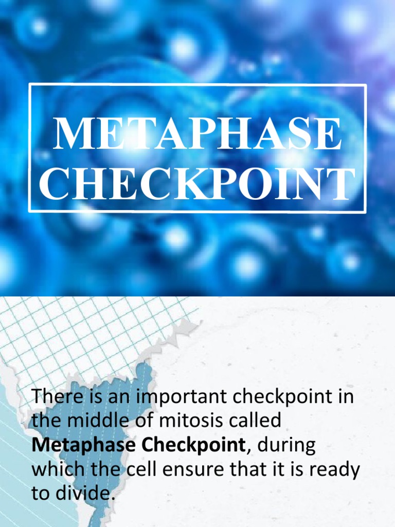 Metaphase Checkpoint (Report) Biology Diagrams