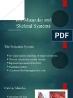 Muscular and Skeletal Systems (part 1)