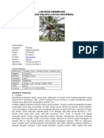 Laporan Hasil Observasi Tentang Pohon KELAPA 1