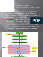 Cellular Metabolism