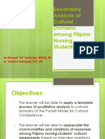 Secondary Analysis of Cultural Domains Among Filipino Nursing Students