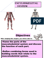 The Musculoskeletal System