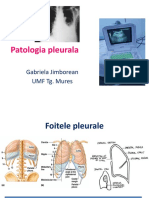 Pleura English