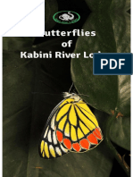 Butterflies of Kabini E Book