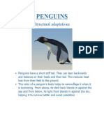Penguins: Structural Adaptations