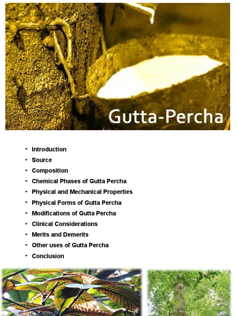 Gutta Percha in Endodontics PDF Materials Chemistry