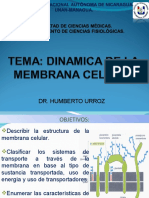 2 Dinámica de La Membrana Celular 2015