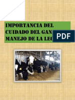 Importancia Del Cuidado Del Ganado y Manejo de La Leche