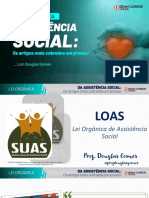 Lei Orgânica Da Assistência Social - Douglas Gomes (1)