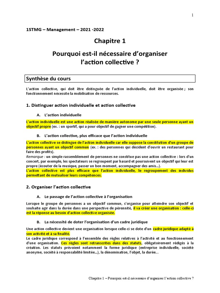 ch1 Synthèse - Orgaisation de L'action Collective, PDF