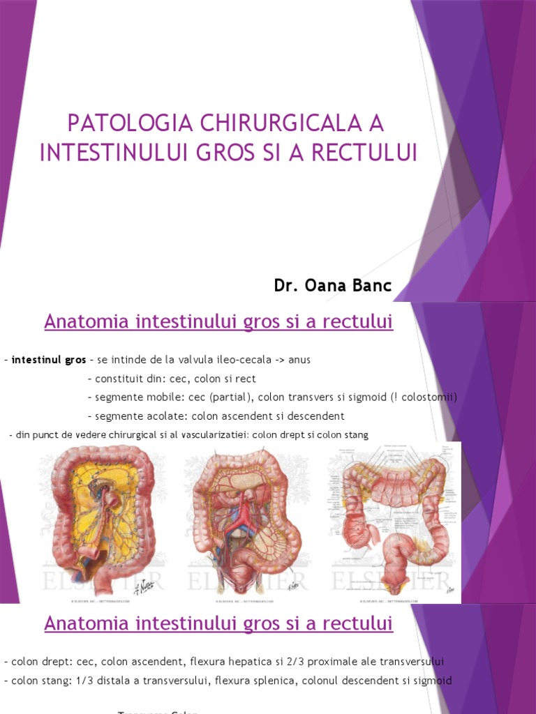 Patologie Colon | PDF