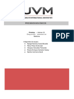 Informe 15 de Procesos Biológicos