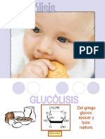 Glucolisis y Fermentacion.pptx