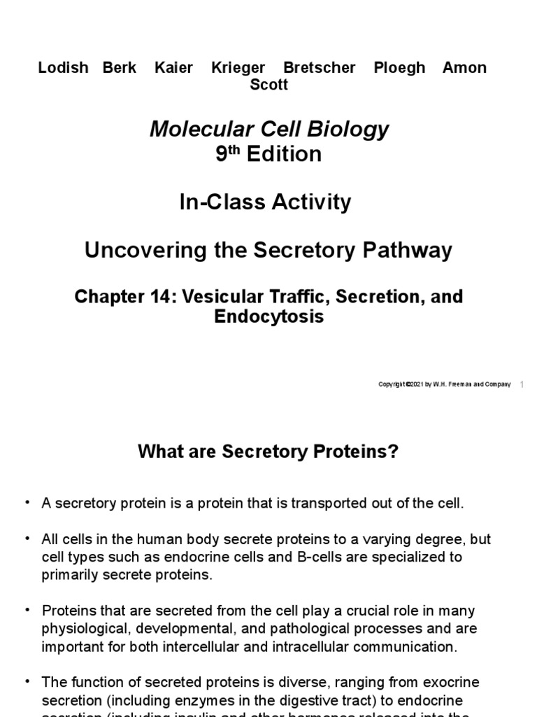 Molecular Cell Biology: 9 Edition In-Class Activity Uncovering The ...
