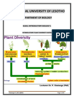 Plant Diversity Lecture 7-Gymnopserms