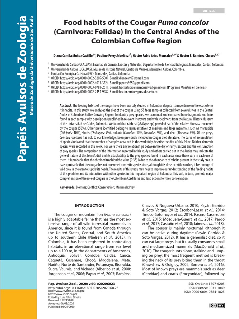 Food Habits of The Cougar in Central Andes of Colombian Cofee Region