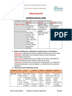 Trabajo Práctico N°5 Carne