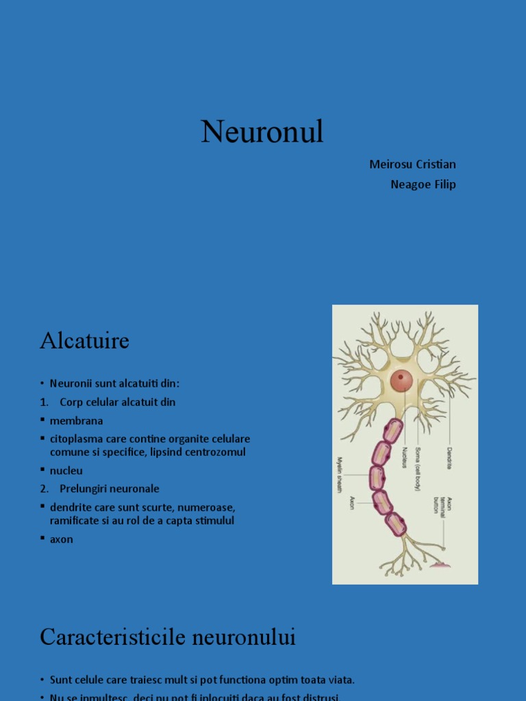 Neuron Ul | PDF