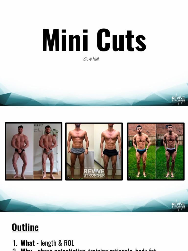 Mini Cuts PDF Dieting Health Sciences