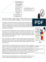 Síntesis Ignorancia de La Aquitectura PDF