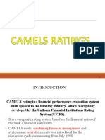Camels Rating