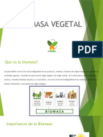 Biomasa Vegetal